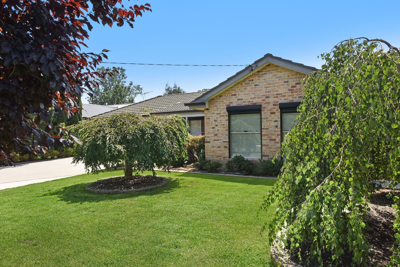 13 Finlay Avenue, Littleton, Littleton - Image 1