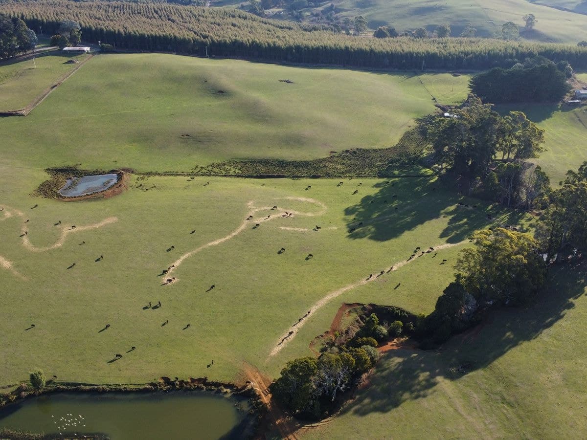 485 Central Castra Road, Castra, Castra - Thumbnail 4
