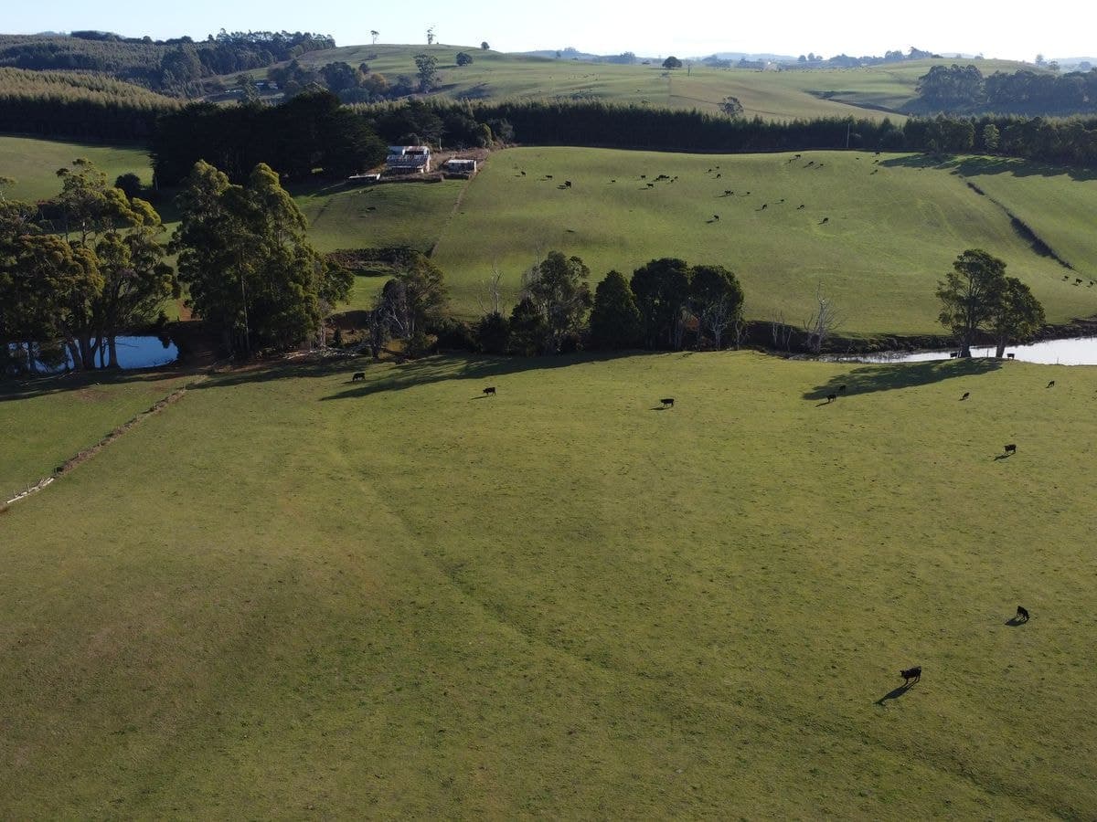 485 Central Castra Road, Castra, Castra - Thumbnail 5