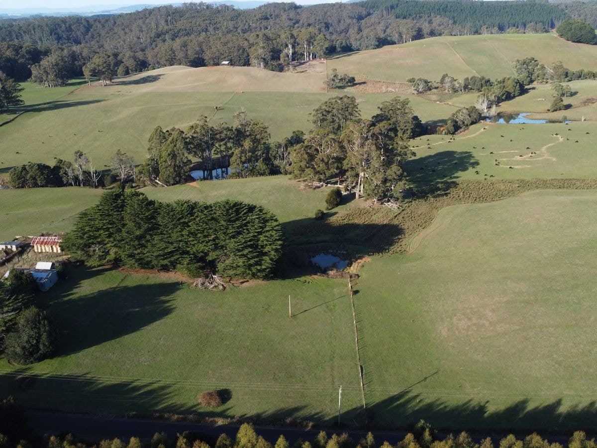 485 Central Castra Road, Castra, Castra - Thumbnail 6