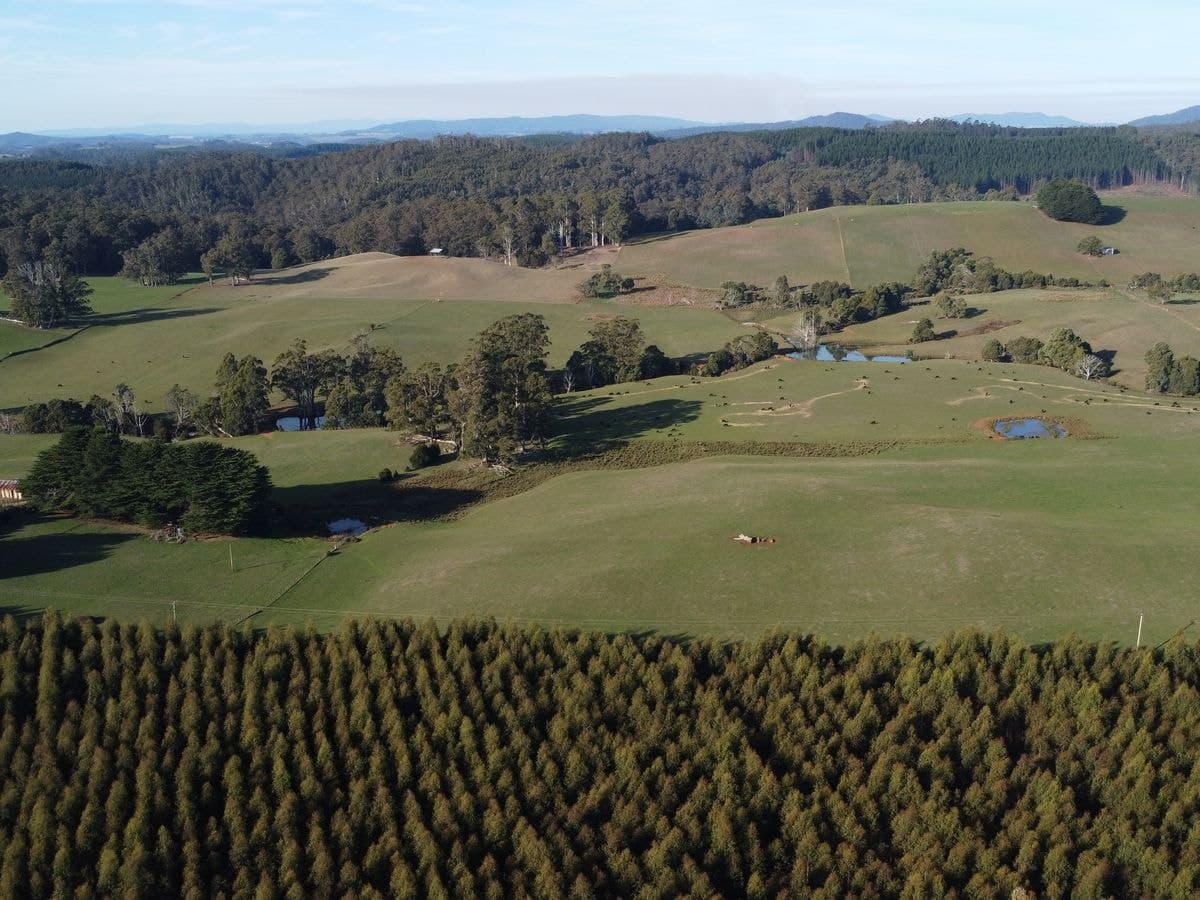 485 Central Castra Road, Castra, Castra - Thumbnail 8