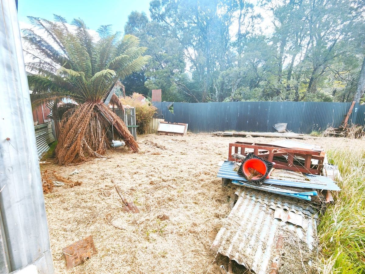 75 Year Old Looking For Love!, Rosebery - Thumbnail 6