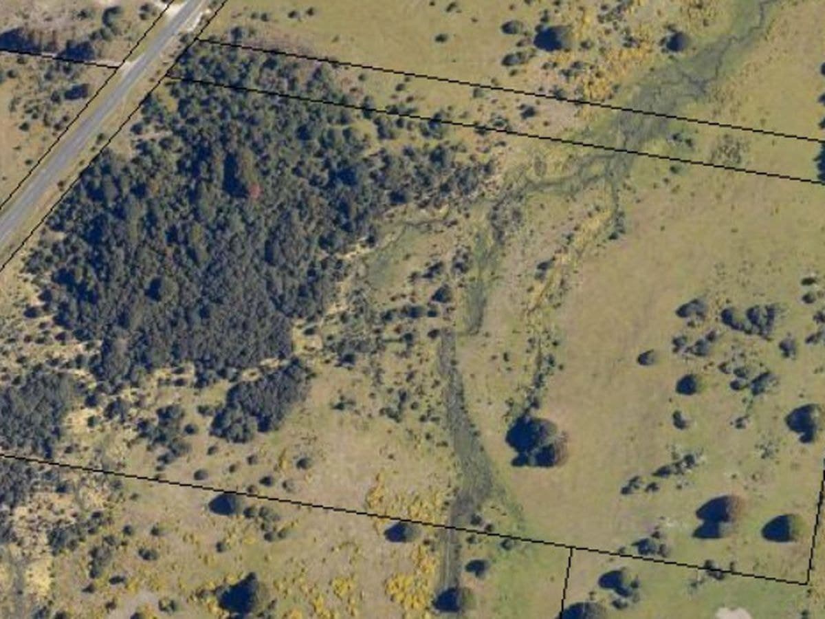 891 Waratah Road, Waratah, Waratah - Image 1