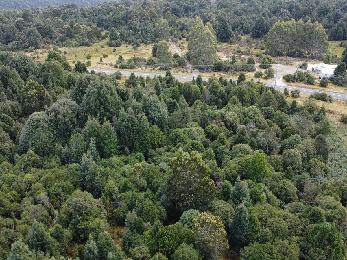 891 Waratah Road, Waratah, Waratah - Thumbnail 4