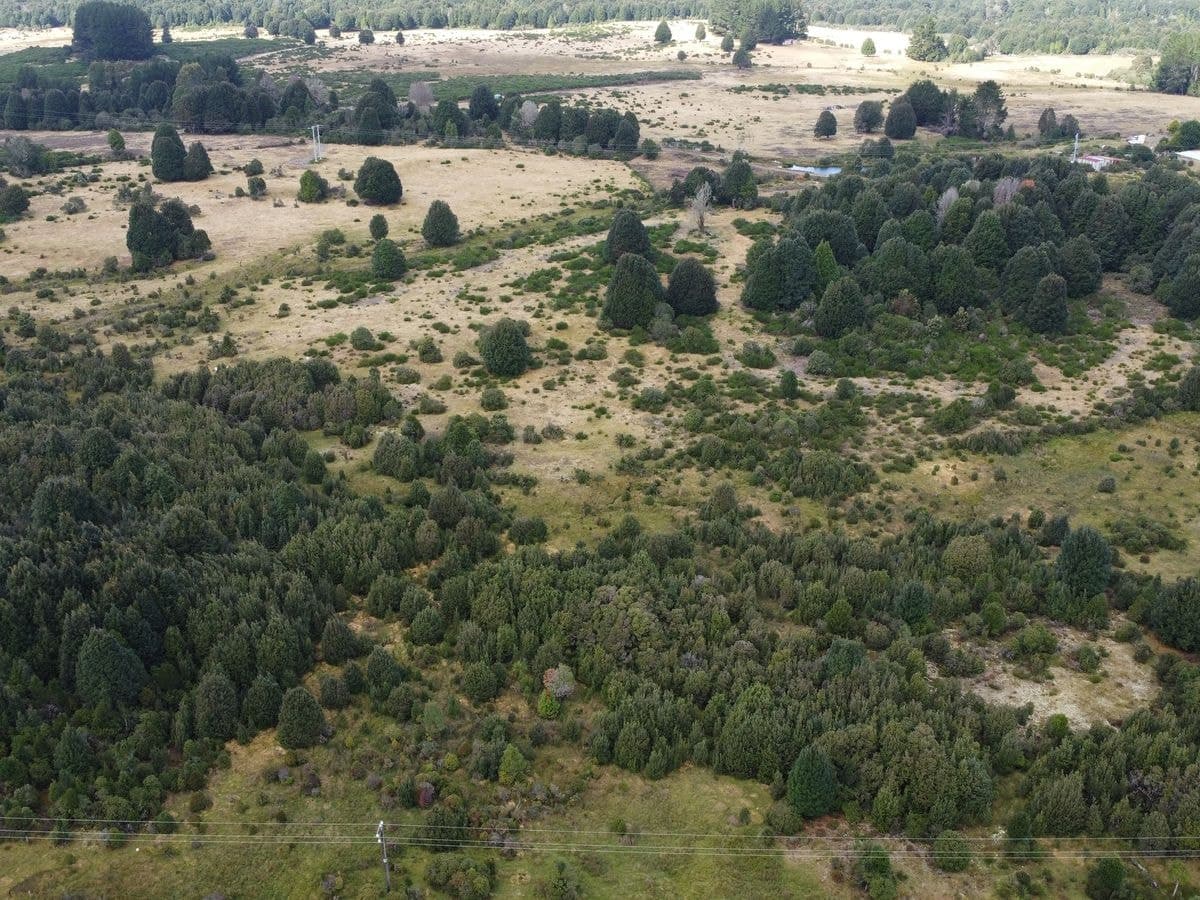 891 Waratah Road, Waratah, Waratah - Thumbnail 5