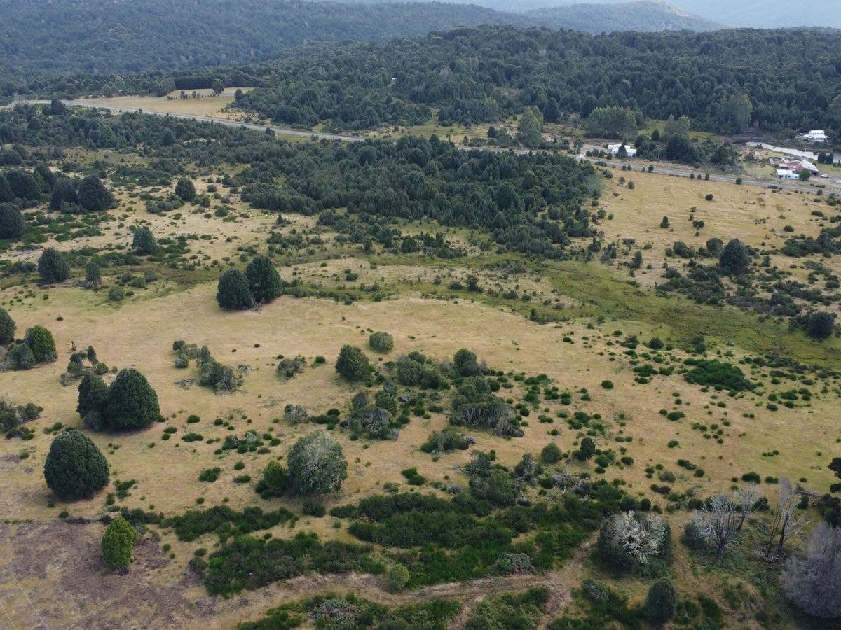 891 Waratah Road, Waratah, Waratah - Thumbnail 7