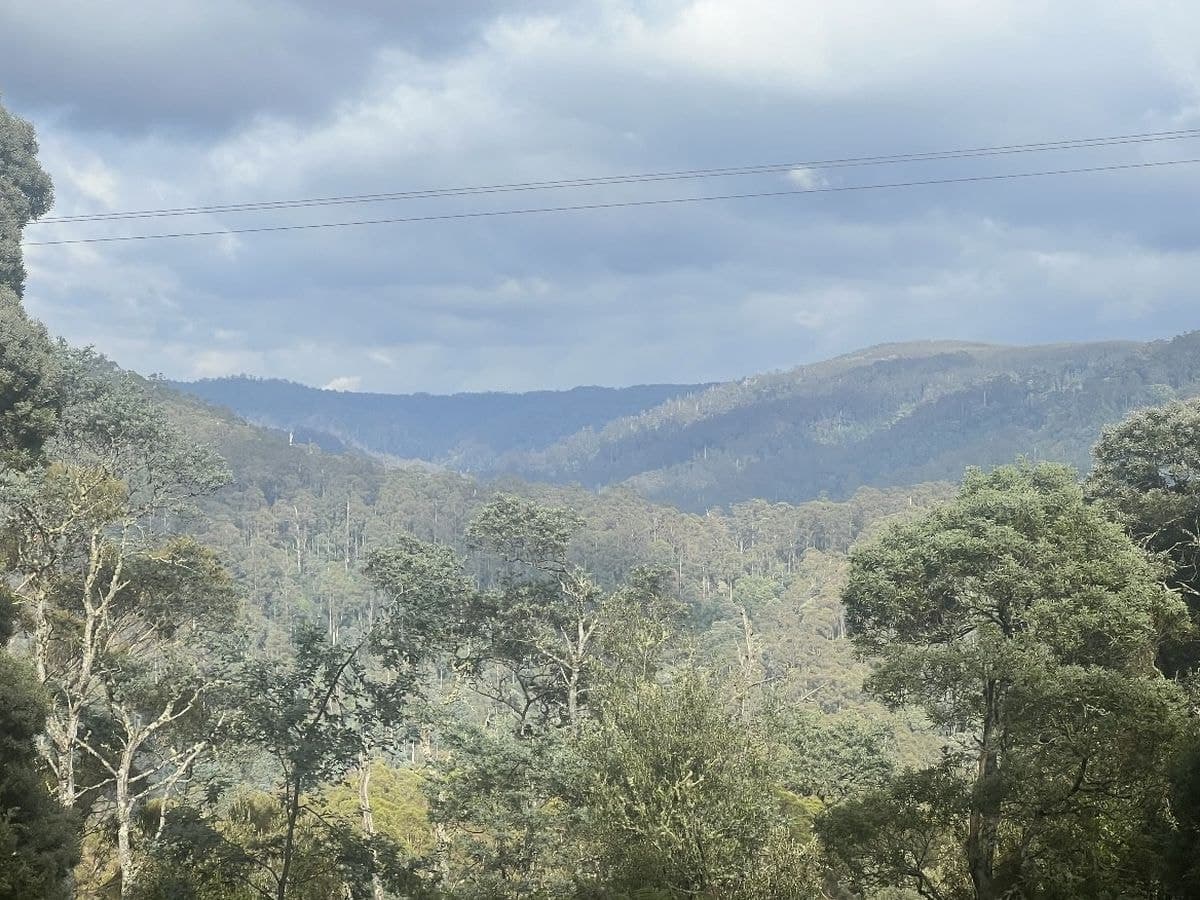 654 West Calder Road, Calder, Calder - Thumbnail 3