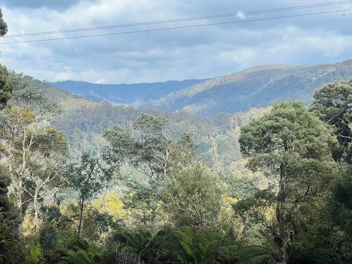 654 West Calder Road, Calder, Calder - Thumbnail 7