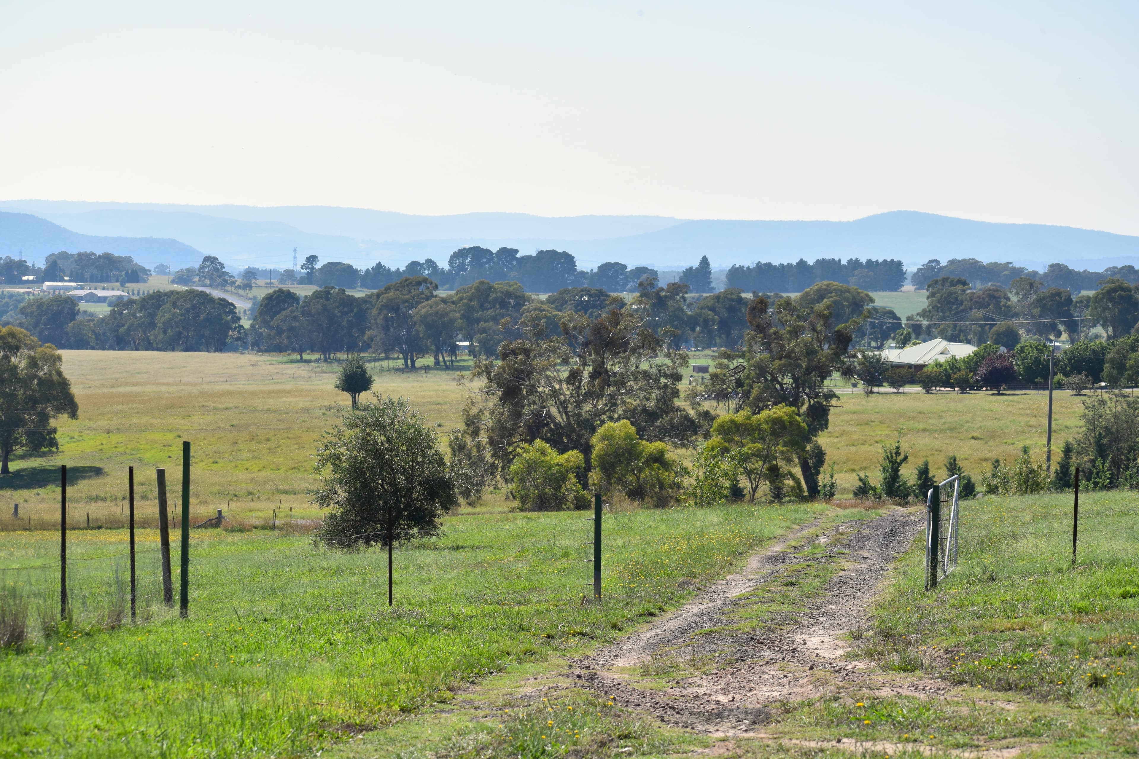 Lot 101 Sunny Corner Road, Portland, Portland - Thumbnail 3
