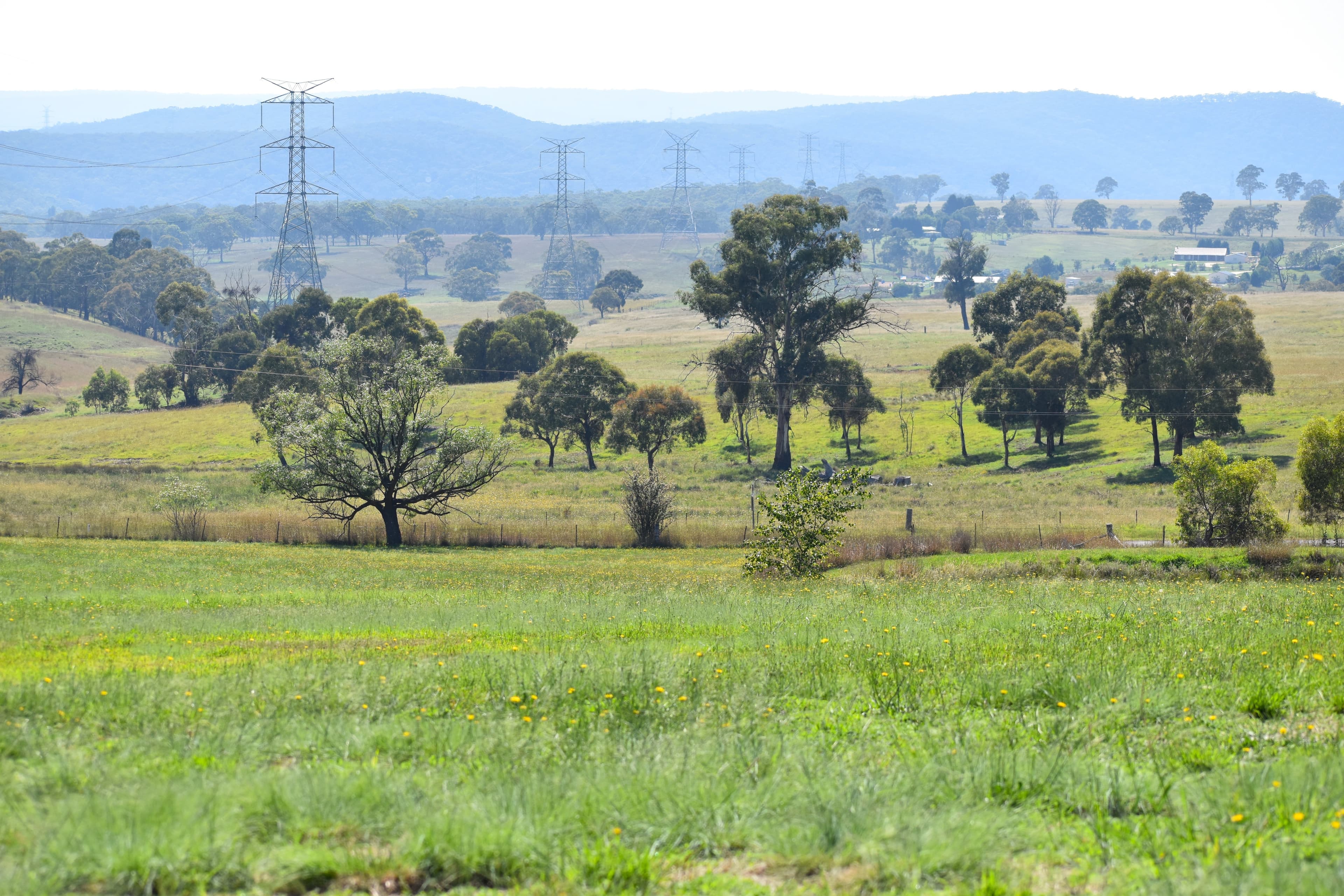 Lot 101 Sunny Corner Road, Portland, Portland - Thumbnail 5