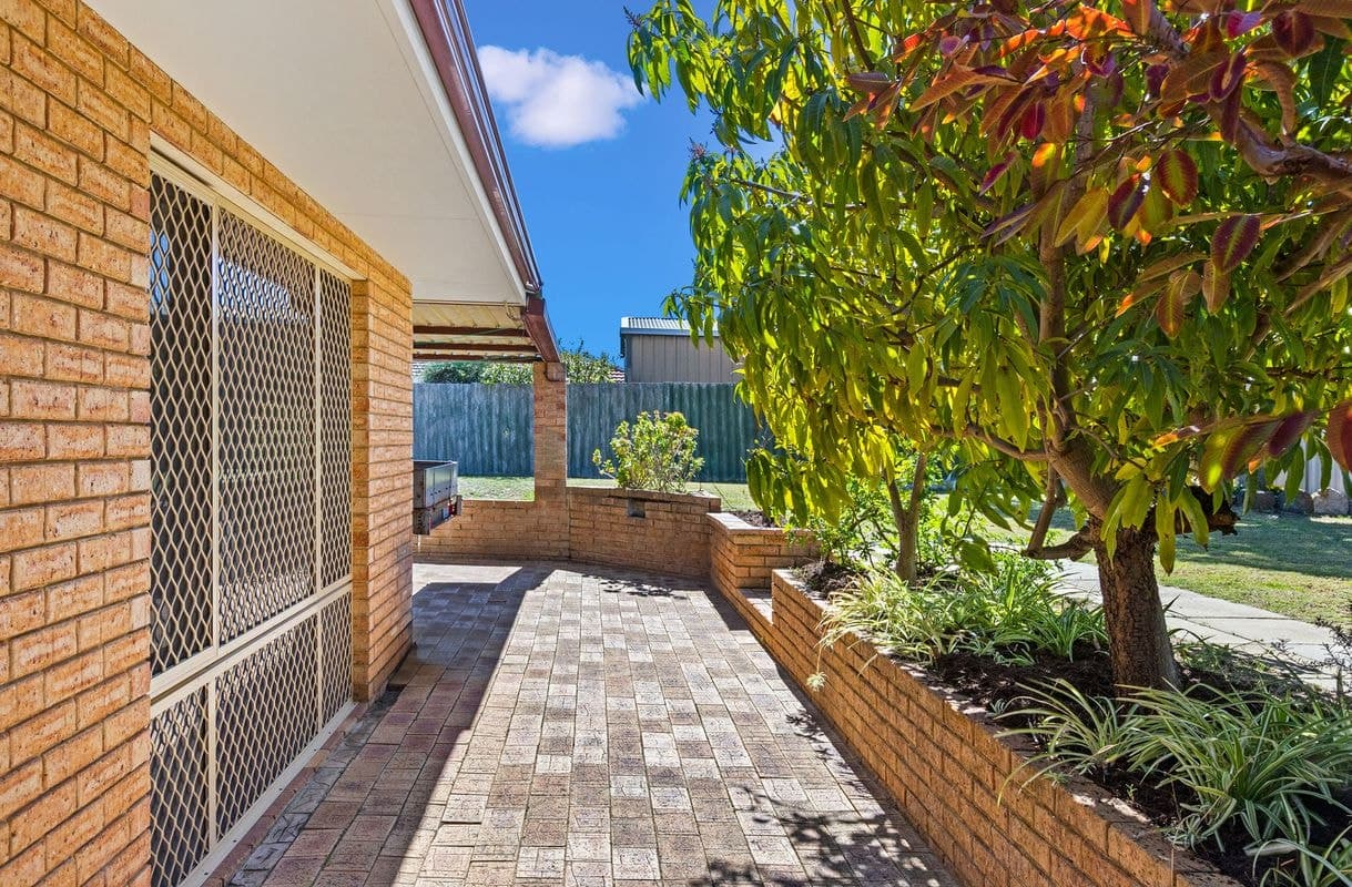 24 Newgate Street, Alexander Heights WA, Alexander Heights - Image 1