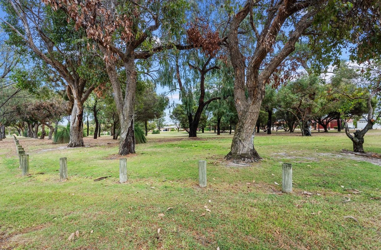 16 Fenchurch Street, Alexander Heights WA, Alexander Heights - Thumbnail 3