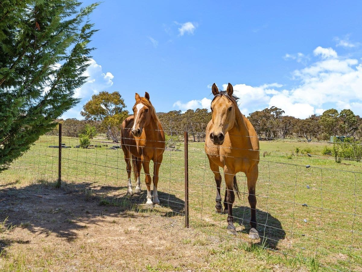 35 Sheehan Road, Hoskinstown, Hoskinstown - Thumbnail 2