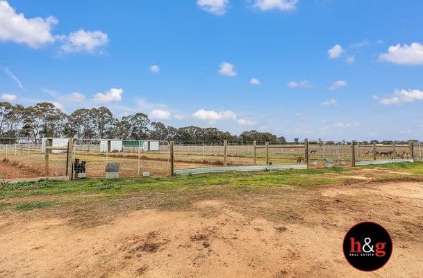 2065 Curr Road, Tongala, Tongala - Thumbnail 7