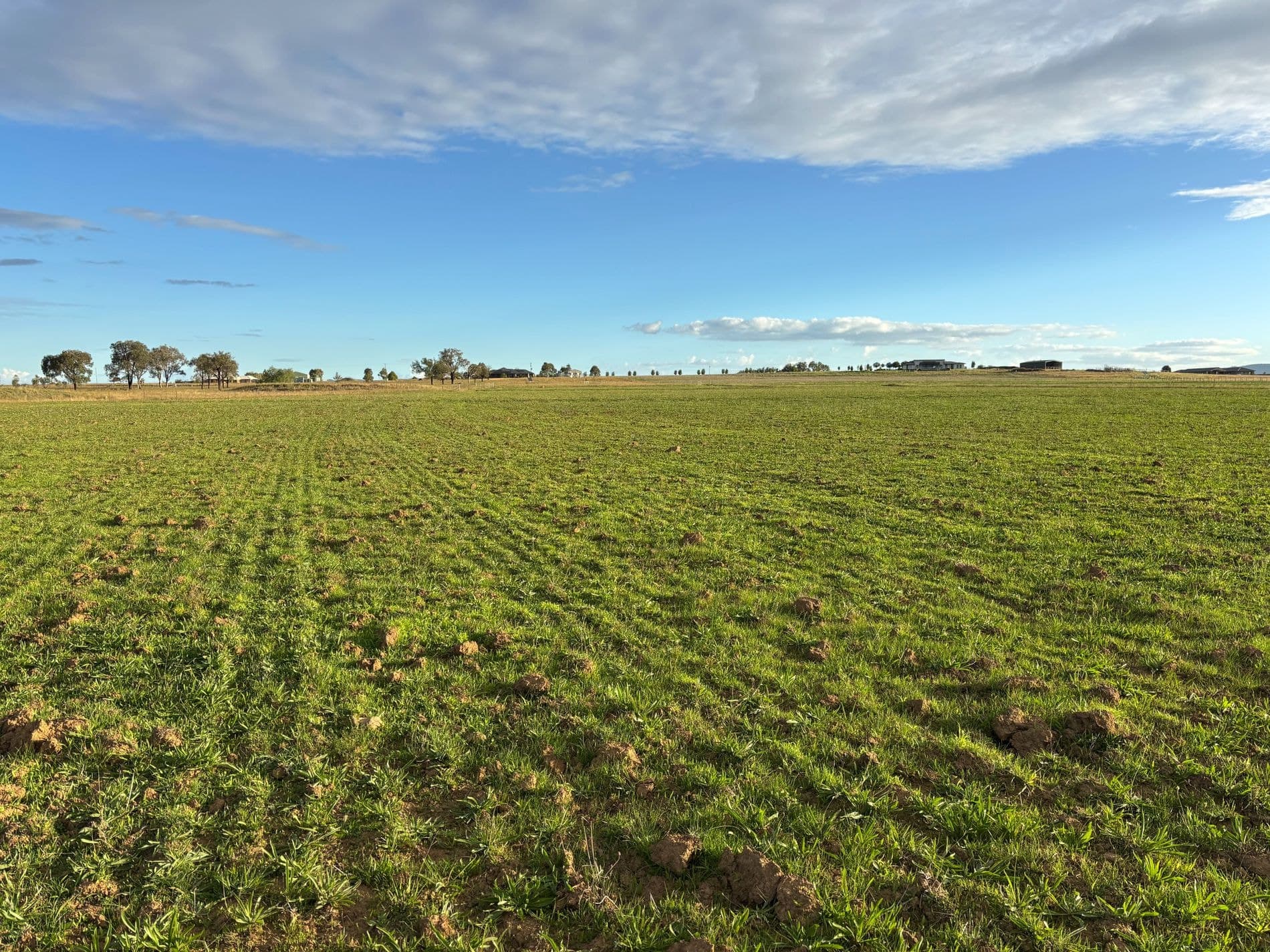 156 Warral-Bithramere Road, Tamworth - Image 1