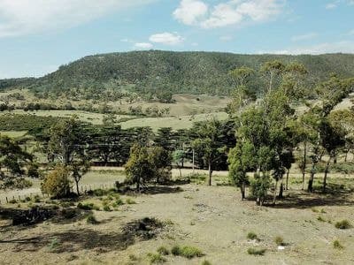 617 Native Corners Road, CAMPANIA TAS, Campania - Image 1