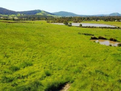 Lot 6 Germain Court, SANDFORD TAS, Sandford - Image 1