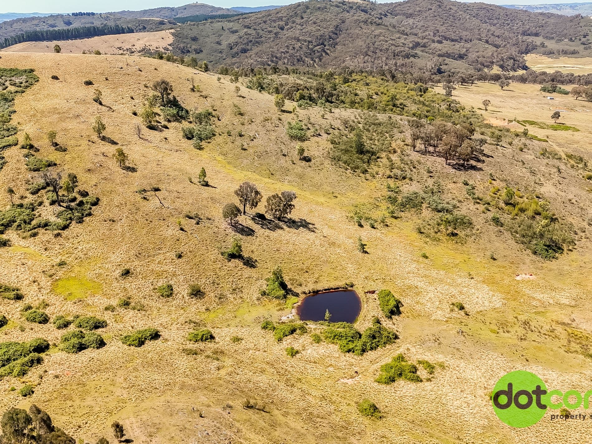 441 Cooksvale Road, Peelwood, Peelwood - Image 1