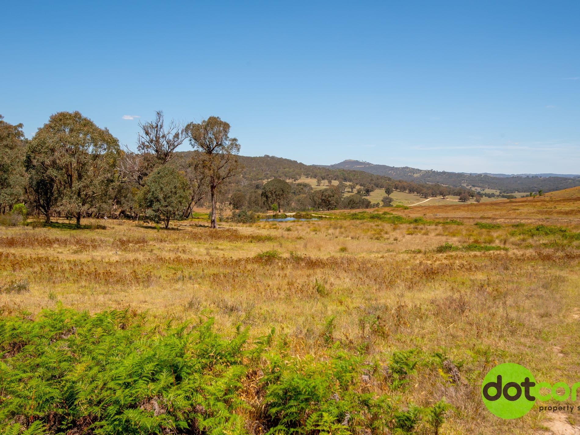 441 Cooksvale Road, Peelwood, Peelwood - Thumbnail 6