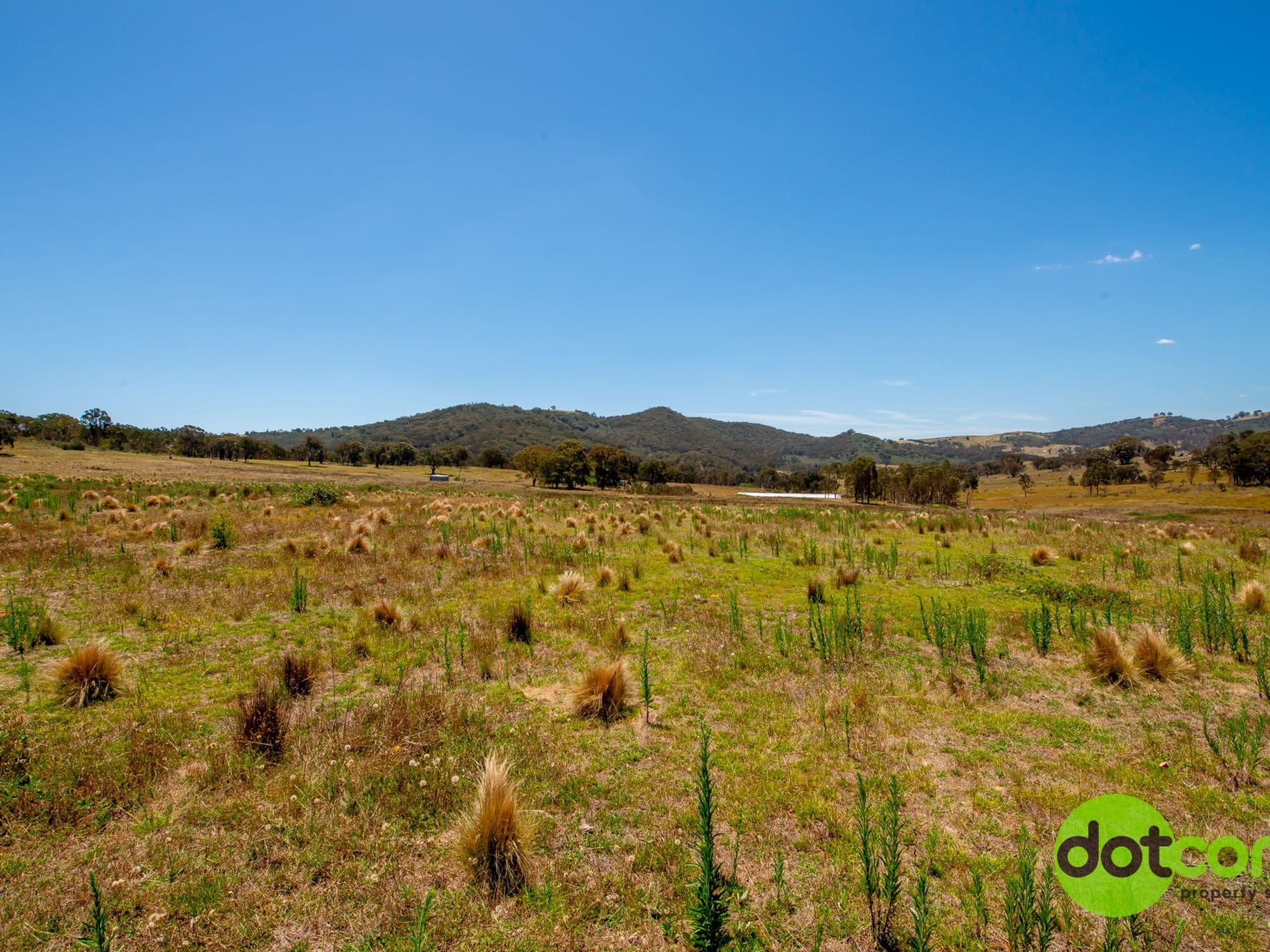 441 Cooksvale Road, Peelwood, Peelwood - Thumbnail 7