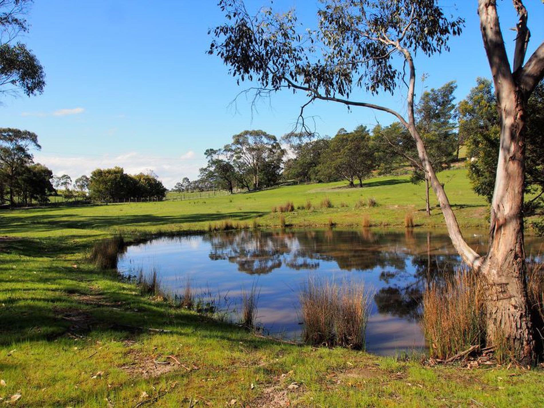 393 Rifle Range Road, Sandford, Sandford - Thumbnail 2