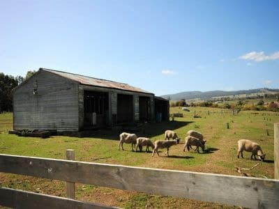 Franklin Street, COLEBROOK TAS, Colebrook - Image 1