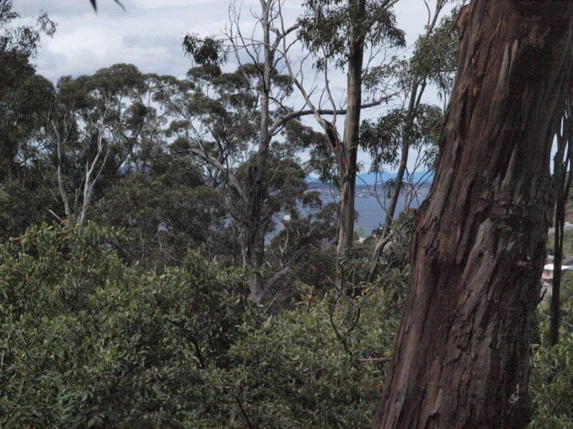 10 Stoney Steps Road, South Hobart, South Hobart - Image 1