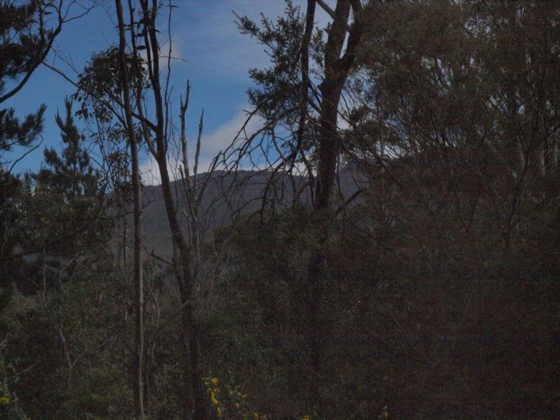 10 Stoney Steps Road, South Hobart, South Hobart - Thumbnail 2
