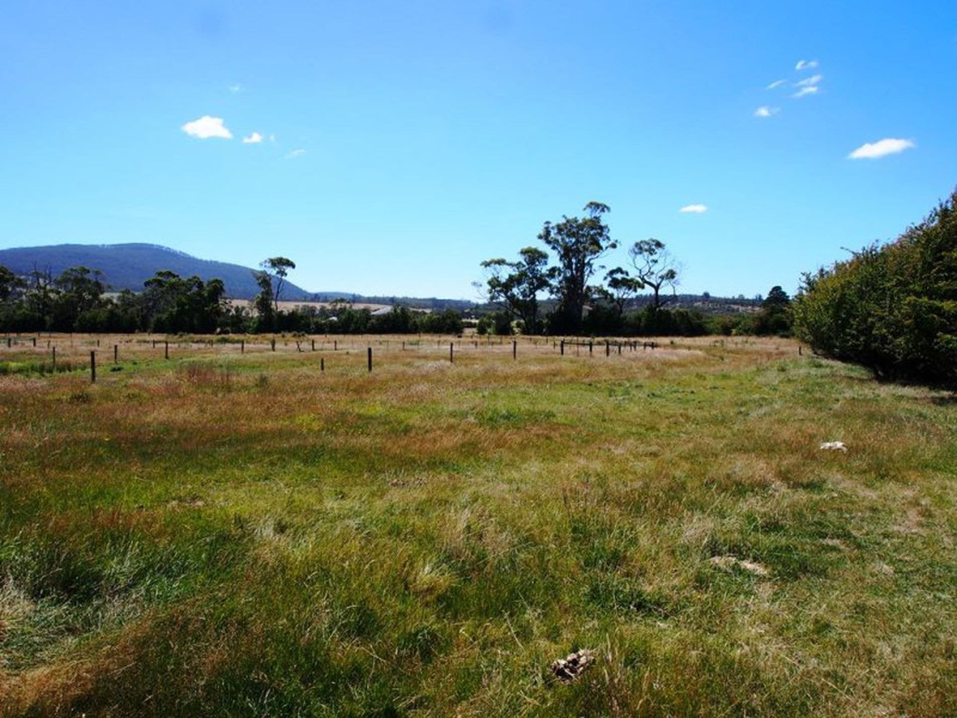 59 Woodsdale Road, RUNNYMEDE TAS, Runnymede - Thumbnail 8