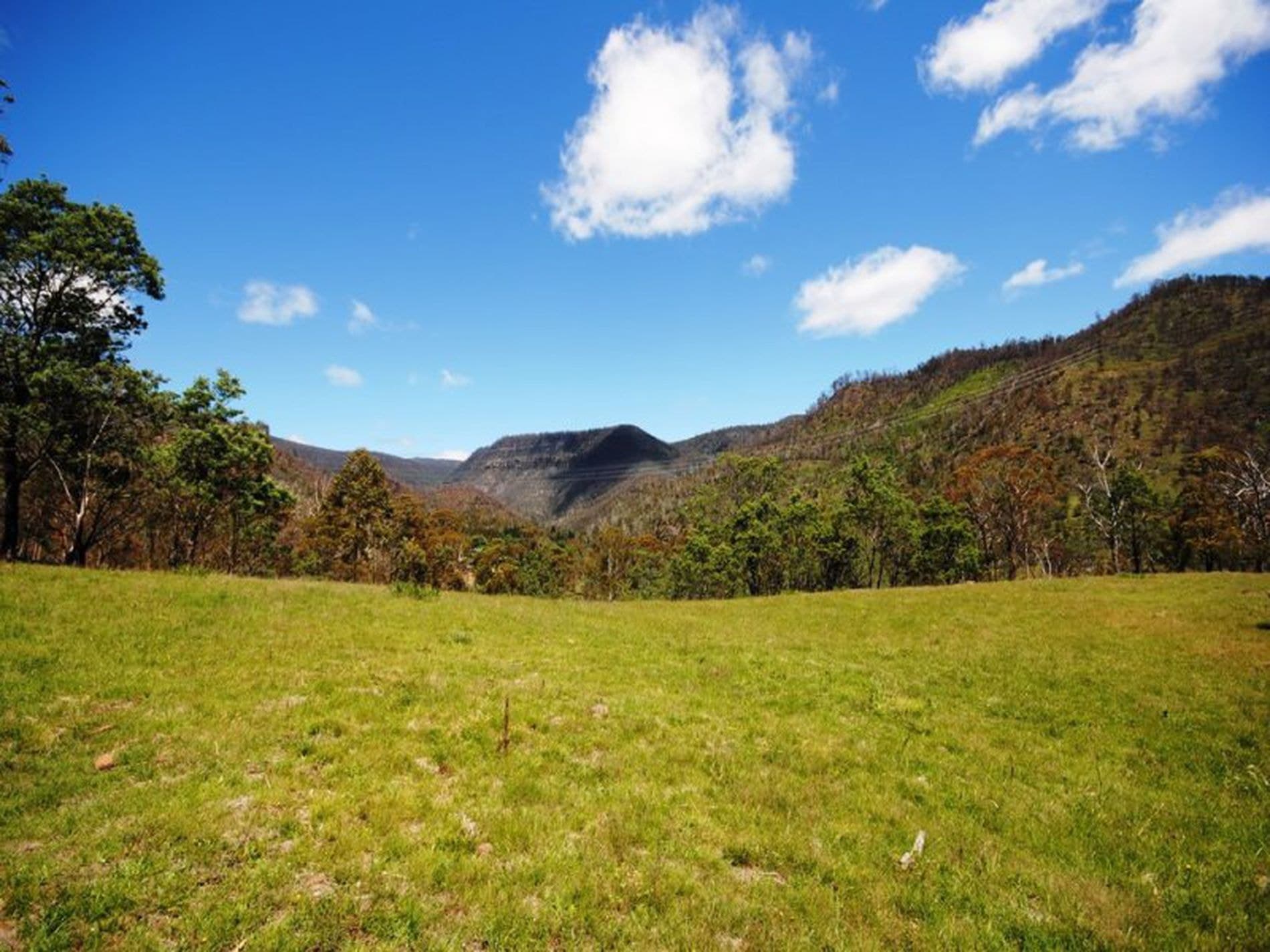 1 / 461 Glen Dhu Road, MOLESWORTH TAS, Molesworth - Image 1
