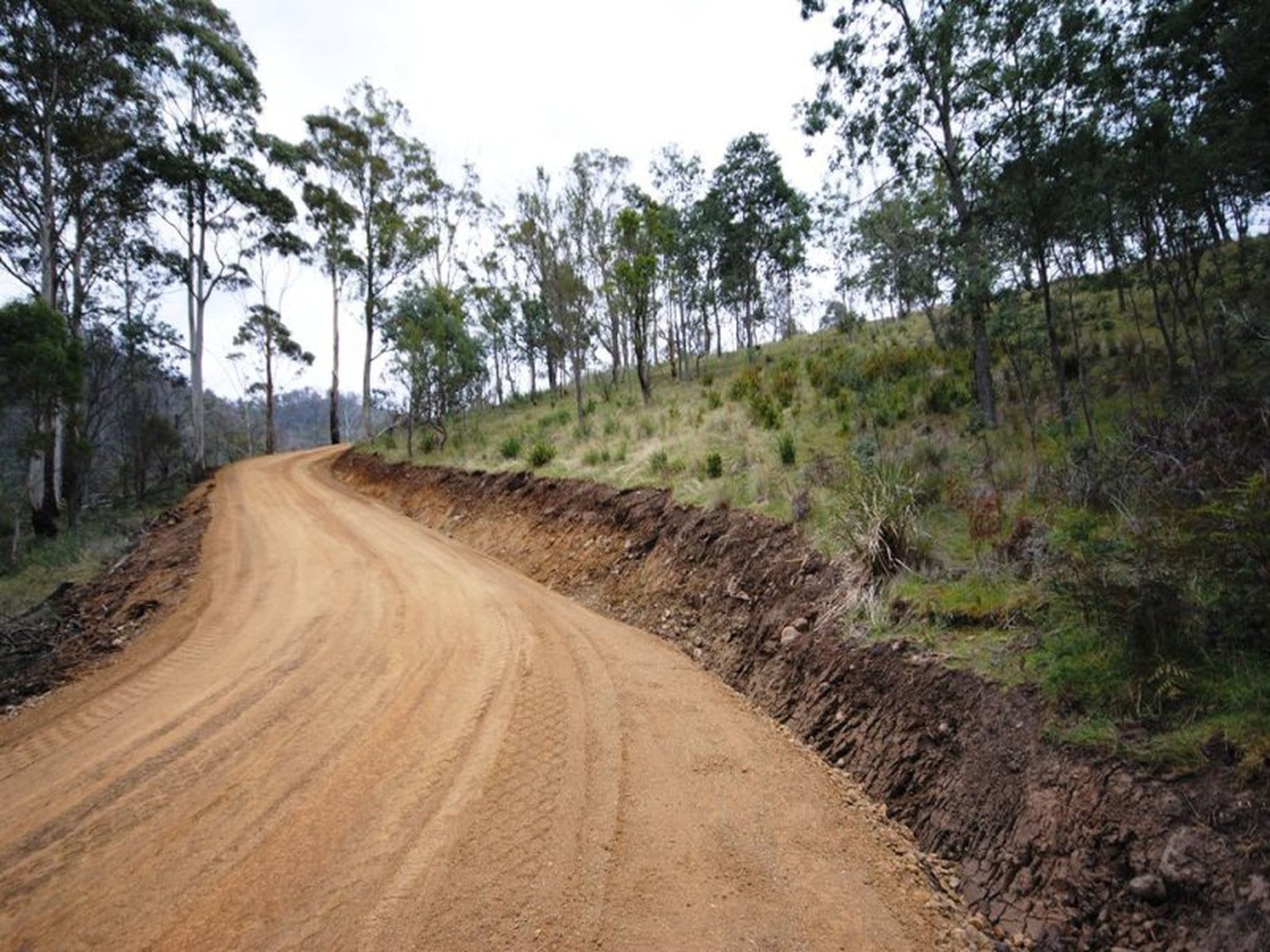 1 / 461 Glen Dhu Road, MOLESWORTH TAS, Molesworth - Thumbnail 2