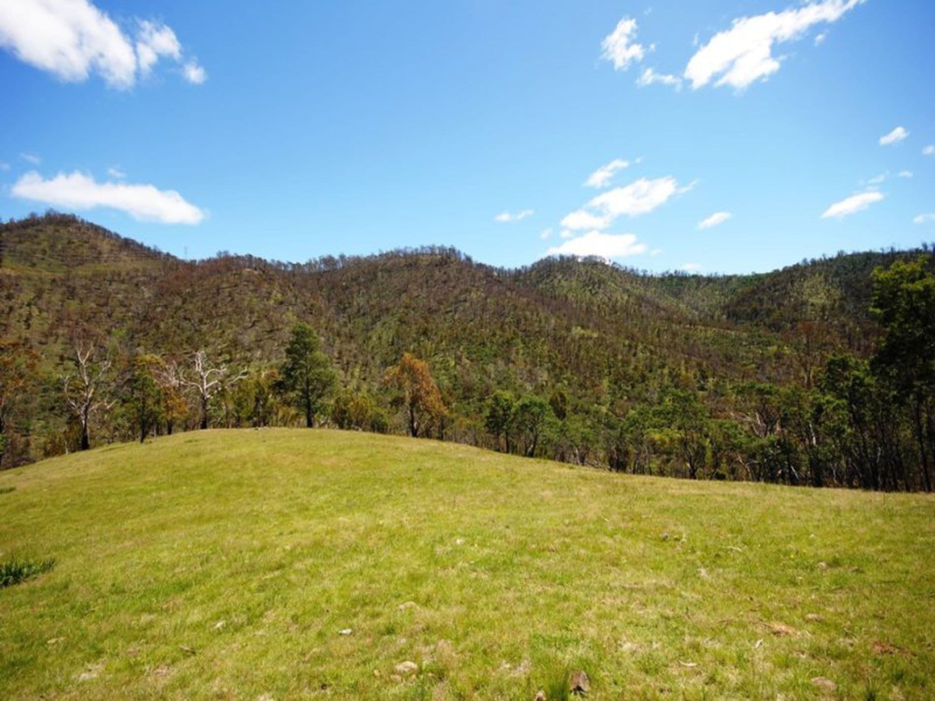1 / 461 Glen Dhu Road, MOLESWORTH TAS, Molesworth - Thumbnail 3