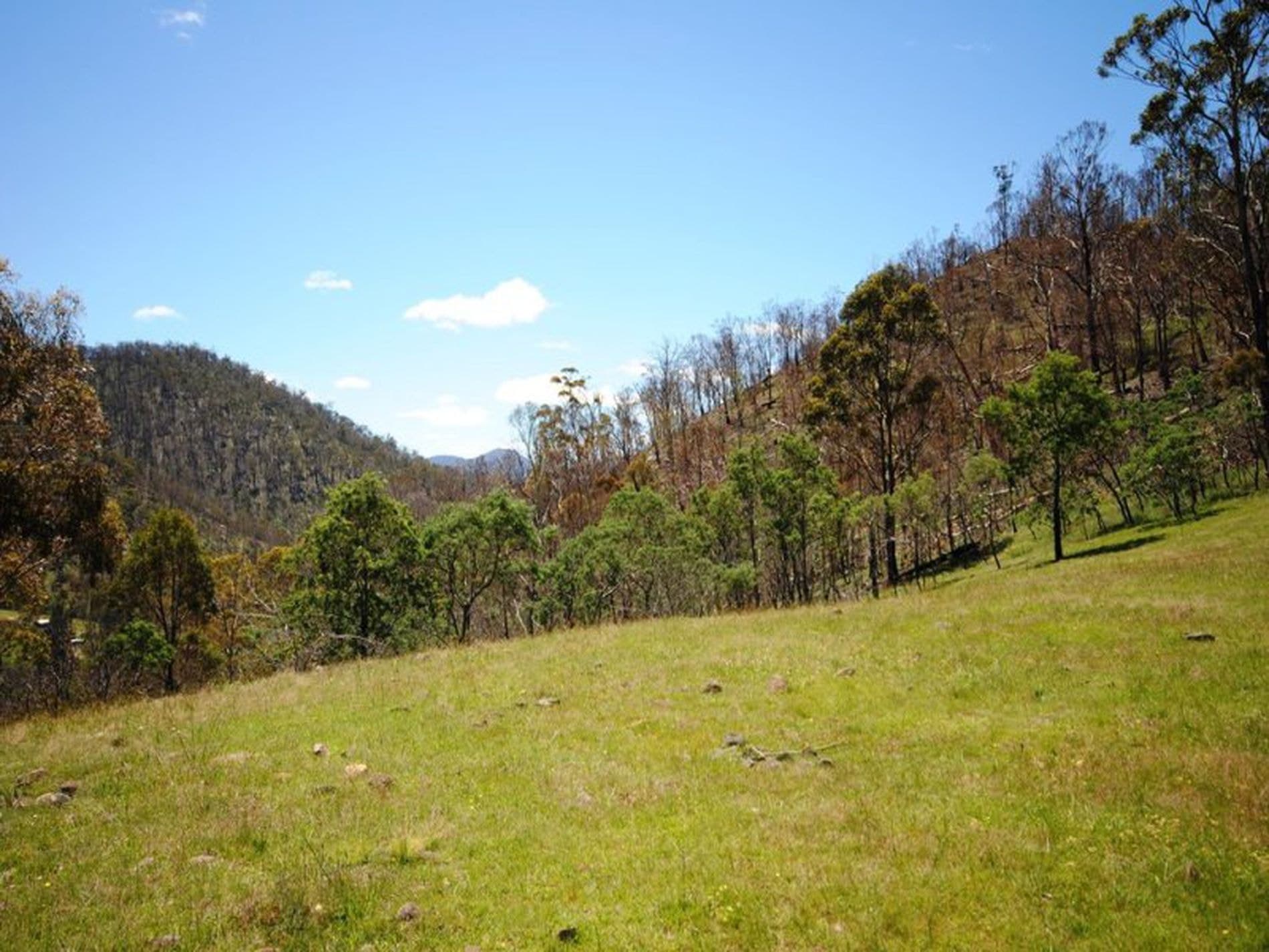 1 / 461 Glen Dhu Road, MOLESWORTH TAS, Molesworth - Thumbnail 4