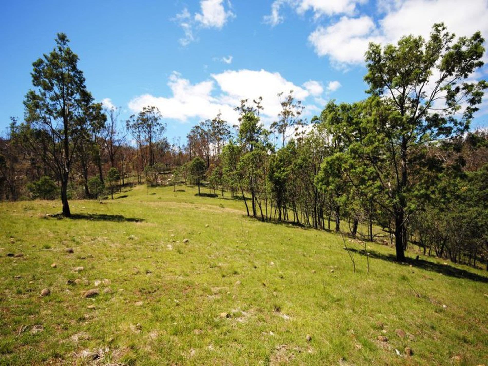 1 / 461 Glen Dhu Road, MOLESWORTH TAS, Molesworth - Thumbnail 5