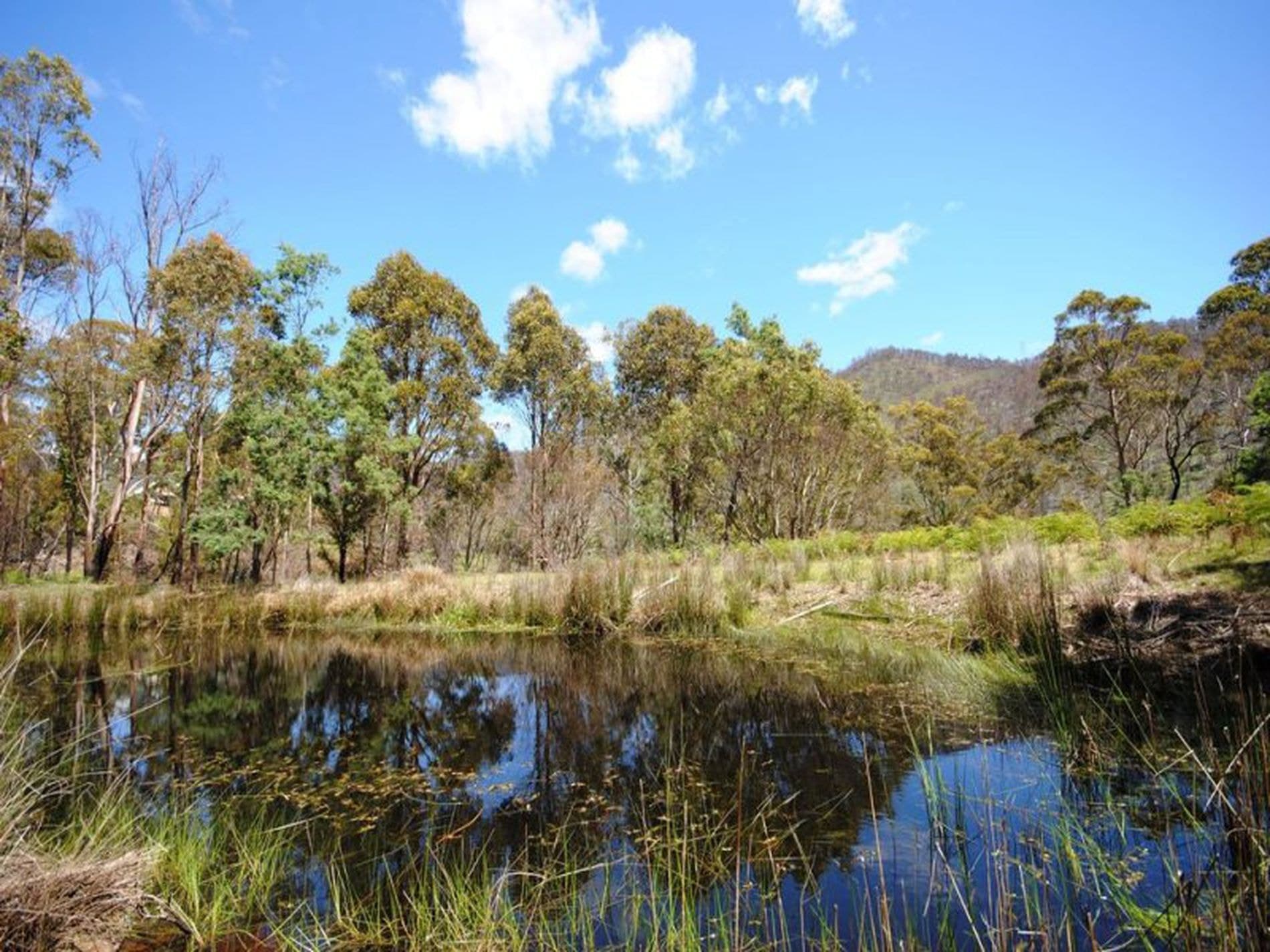 1 / 461 Glen Dhu Road, MOLESWORTH TAS, Molesworth - Thumbnail 6