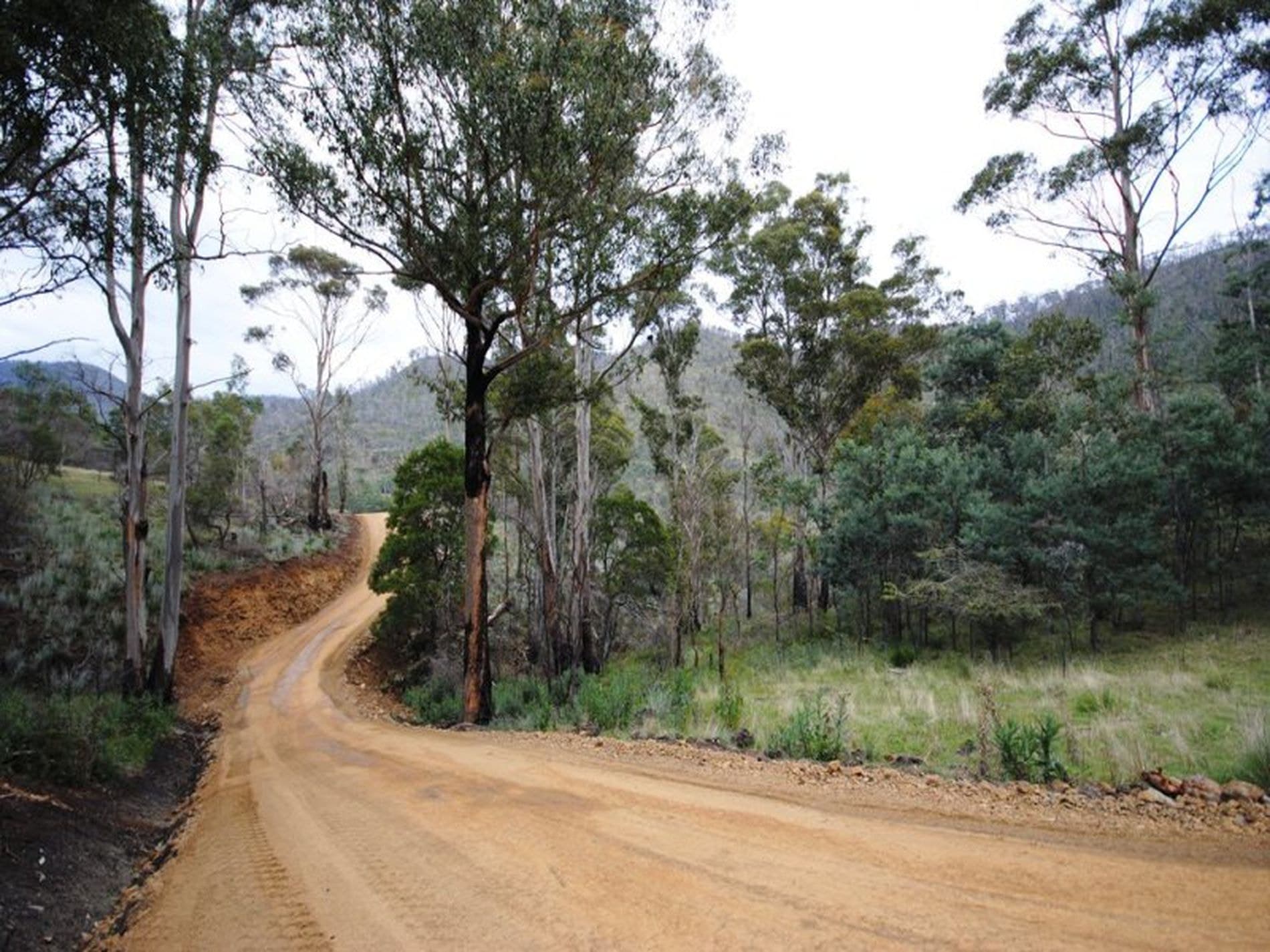 1 / 461 Glen Dhu Road, MOLESWORTH TAS, Molesworth - Thumbnail 7