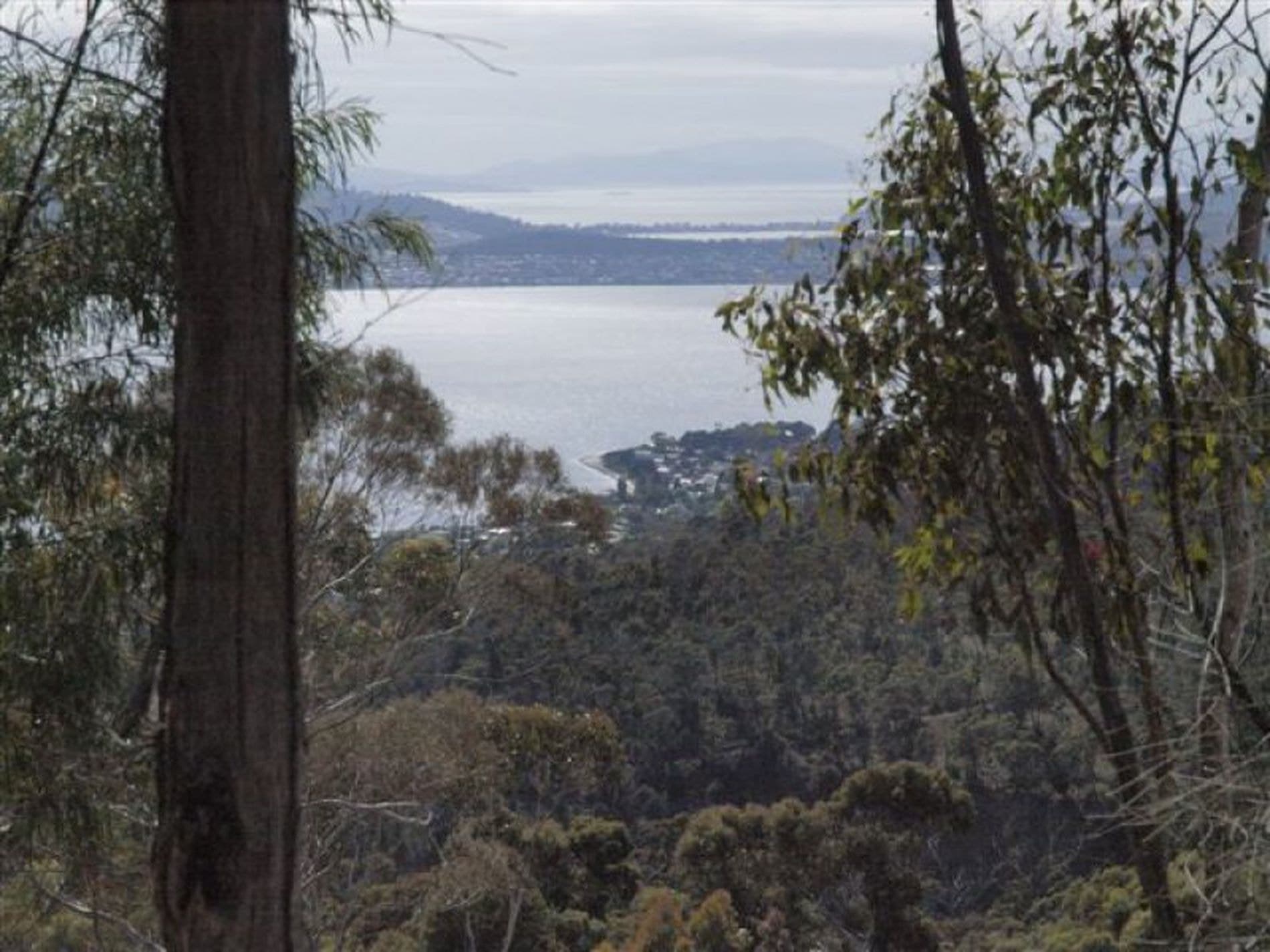 47 Hillcrest Road, TOLMANS HILL TAS, Tolmans Hill - Thumbnail 3