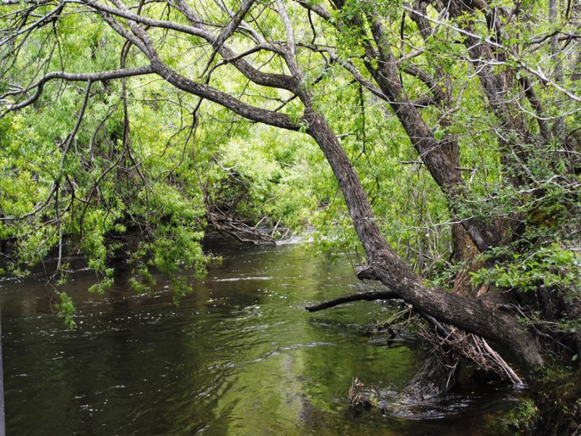 2264 Gordon River Road, NATIONAL PARK TAS, National Park - Image 1
