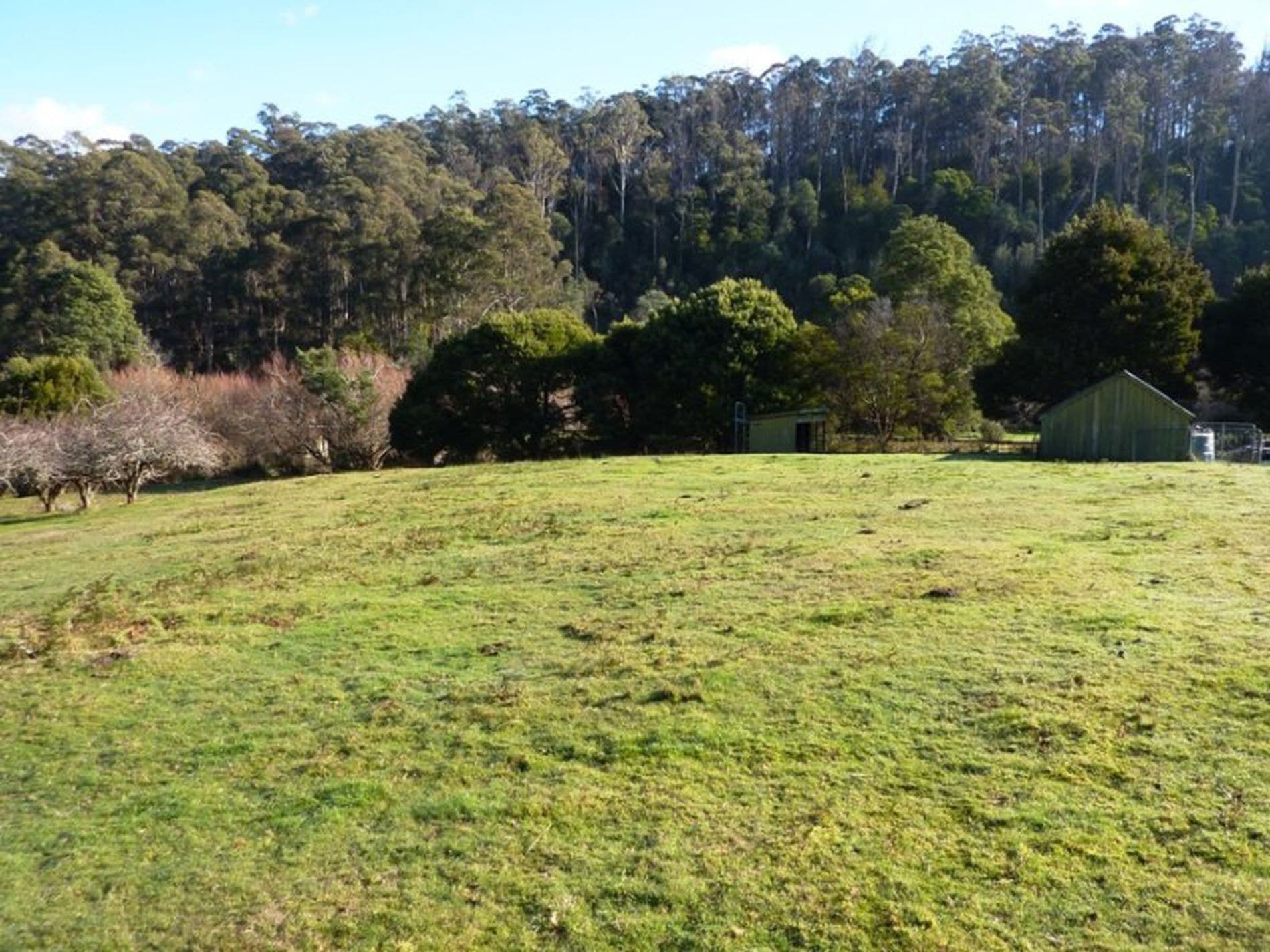 2264 Gordon River Road, NATIONAL PARK TAS, National Park - Thumbnail 2