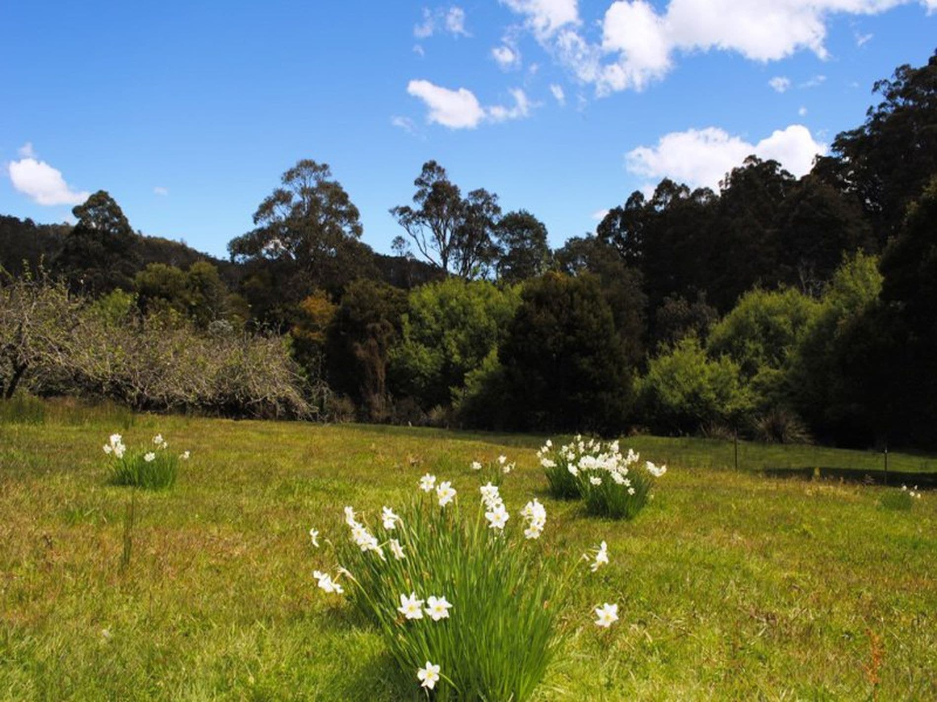 2264 Gordon River Road, NATIONAL PARK TAS, National Park - Thumbnail 4