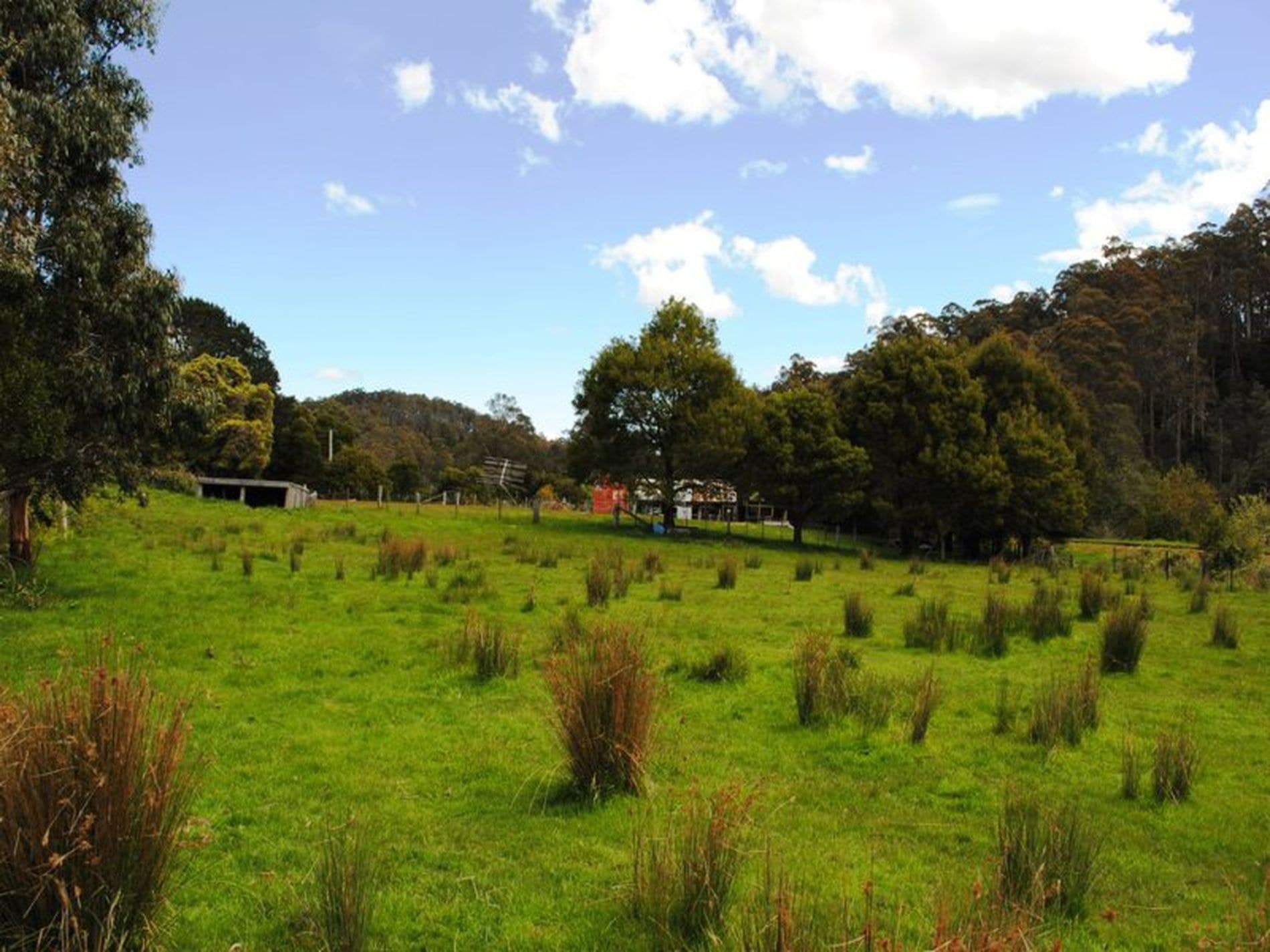 2264 Gordon River Road, NATIONAL PARK TAS, National Park - Thumbnail 5