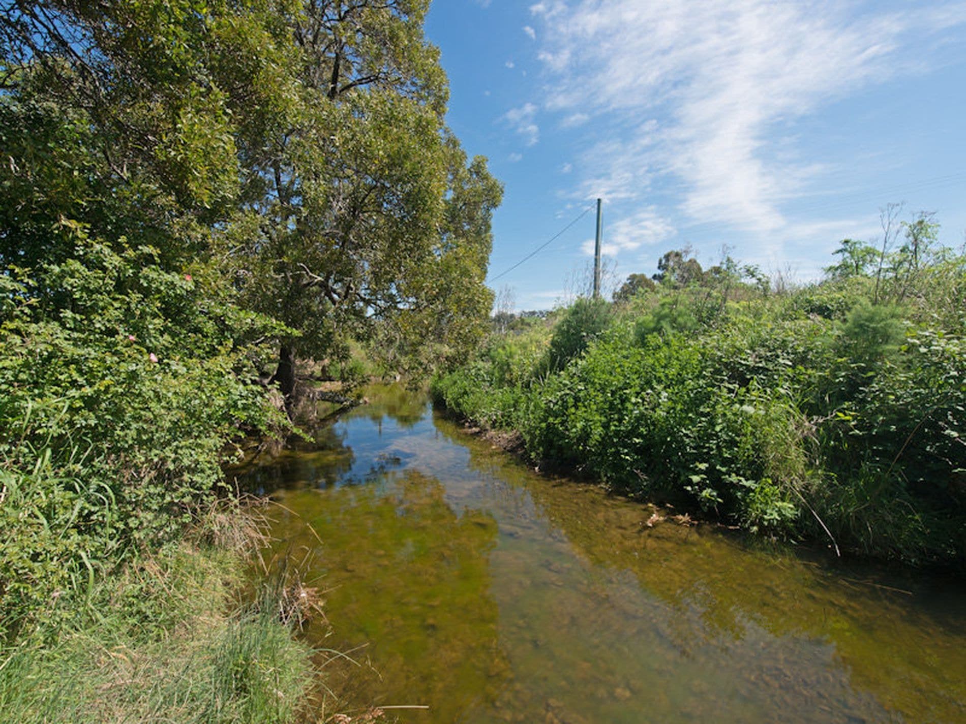 23 Orielton Road, ORIELTON TAS, Orielton - Thumbnail 8