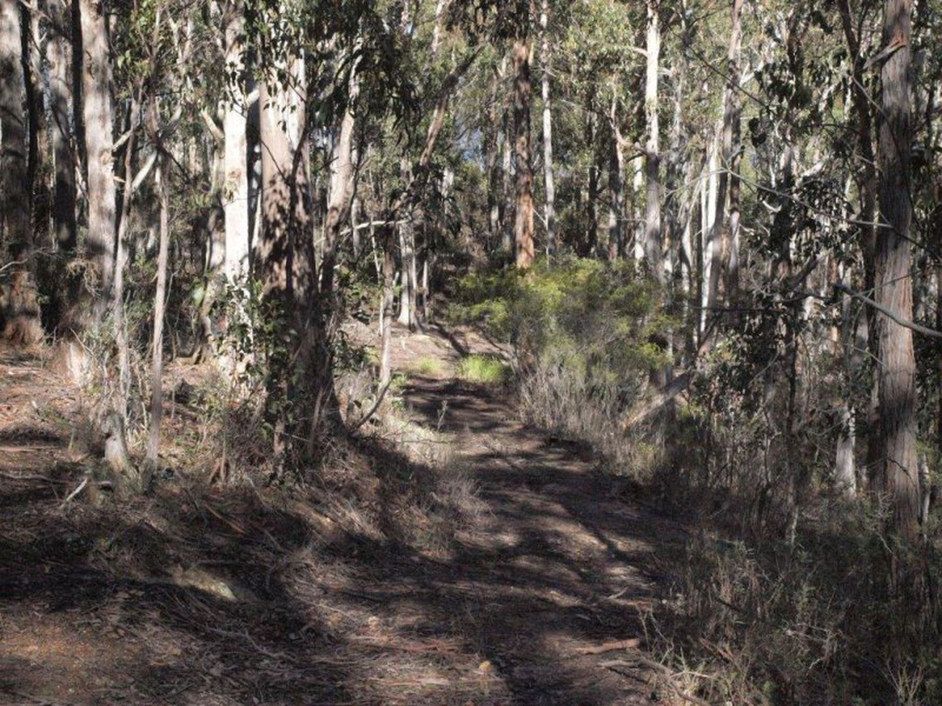 Lot 1 Glenlusk Road, GLENLUSK TAS, Glenlusk - Thumbnail 3