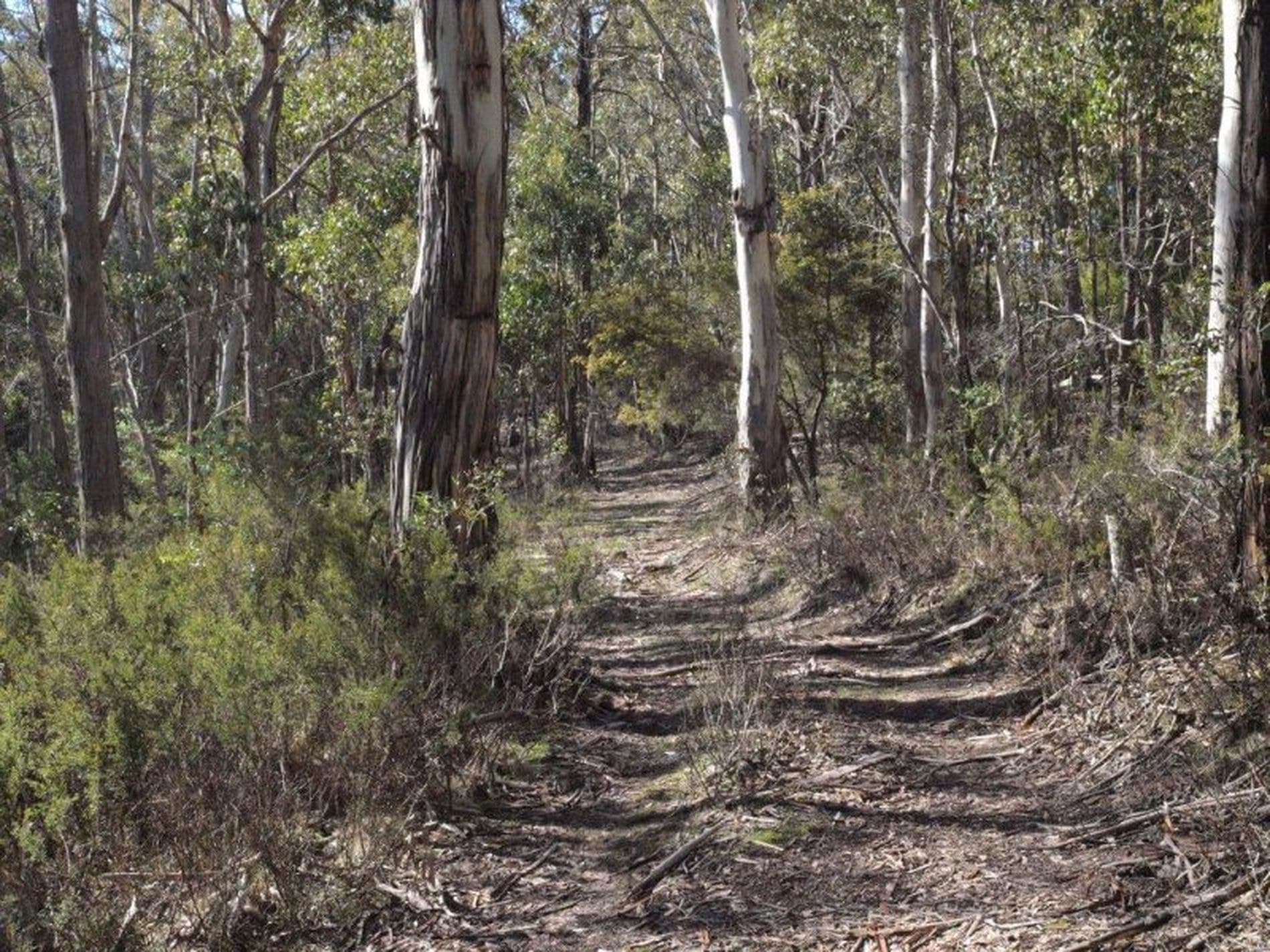 Lot 1 Glenlusk Road, GLENLUSK TAS, Glenlusk - Thumbnail 4