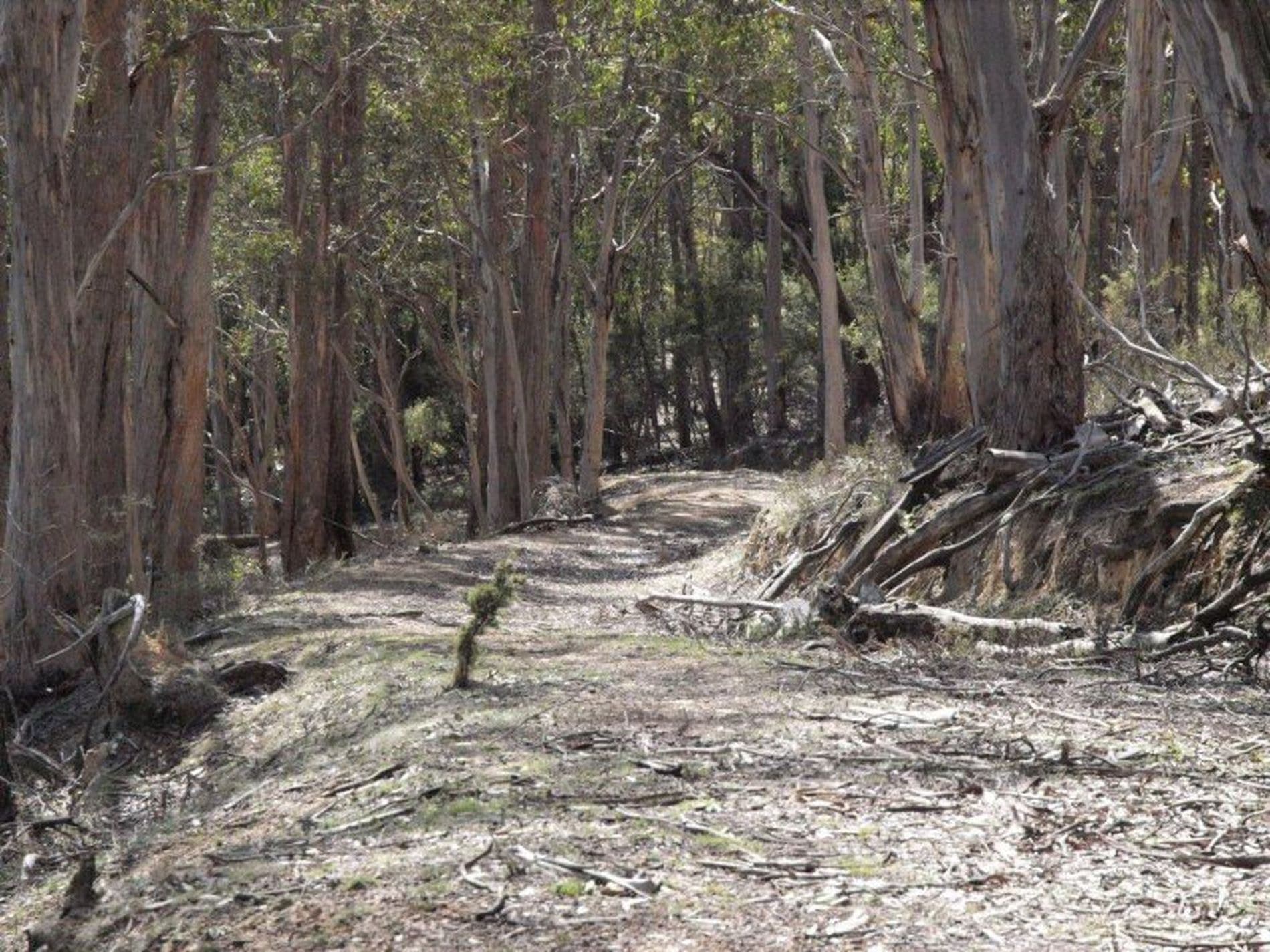 Lot 1 Glenlusk Road, GLENLUSK TAS, Glenlusk - Thumbnail 5
