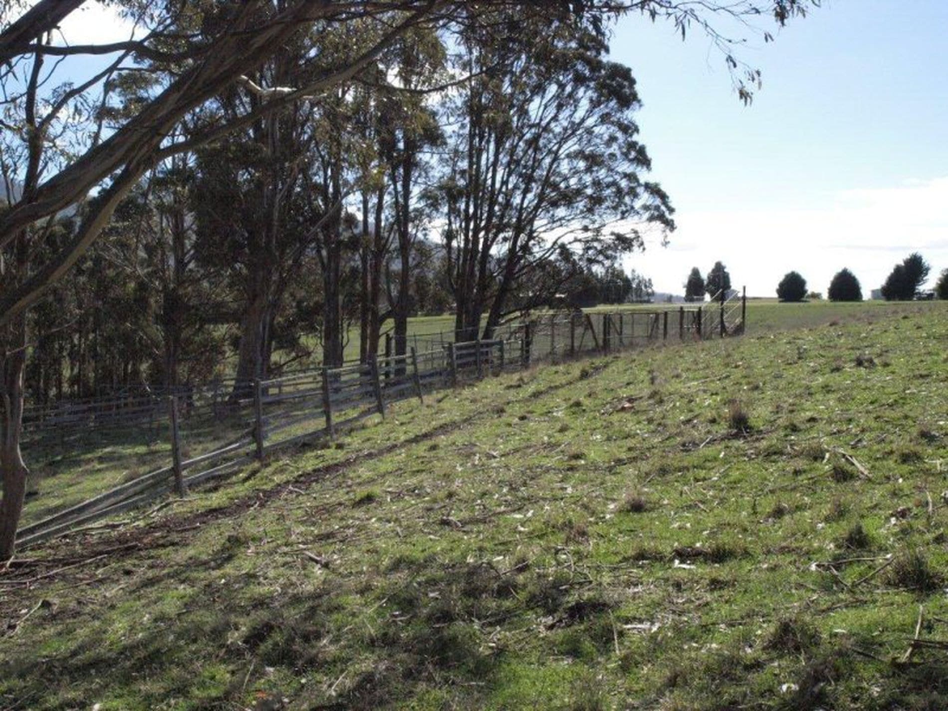 Lot 1 Glenlusk Road, GLENLUSK TAS, Glenlusk - Thumbnail 6