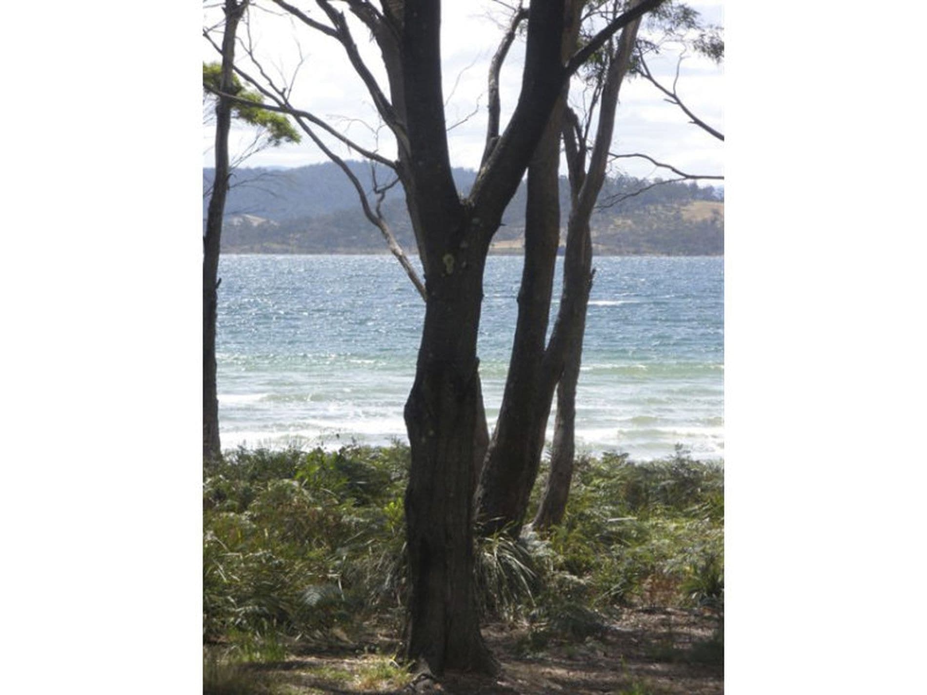 1884 Bruny Island Main Road, GREAT BAY TAS, Great Bay - Thumbnail 2