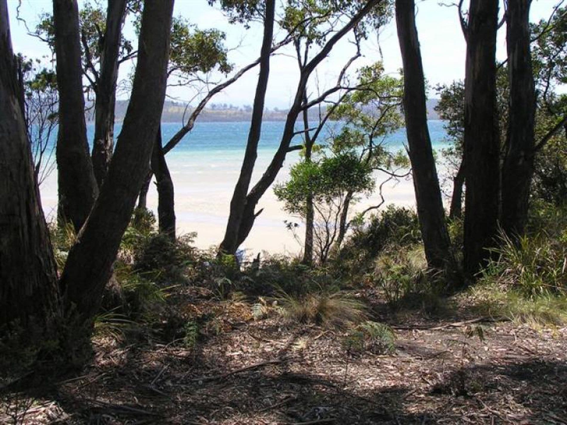 1884 Bruny Island Main Road, GREAT BAY TAS, Great Bay - Thumbnail 3