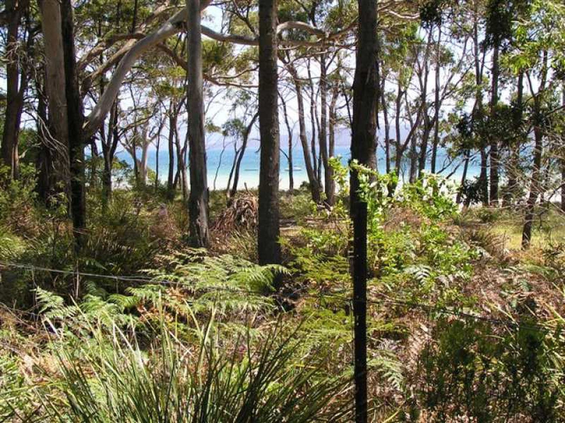 1884 Bruny Island Main Road, GREAT BAY TAS, Great Bay - Thumbnail 4
