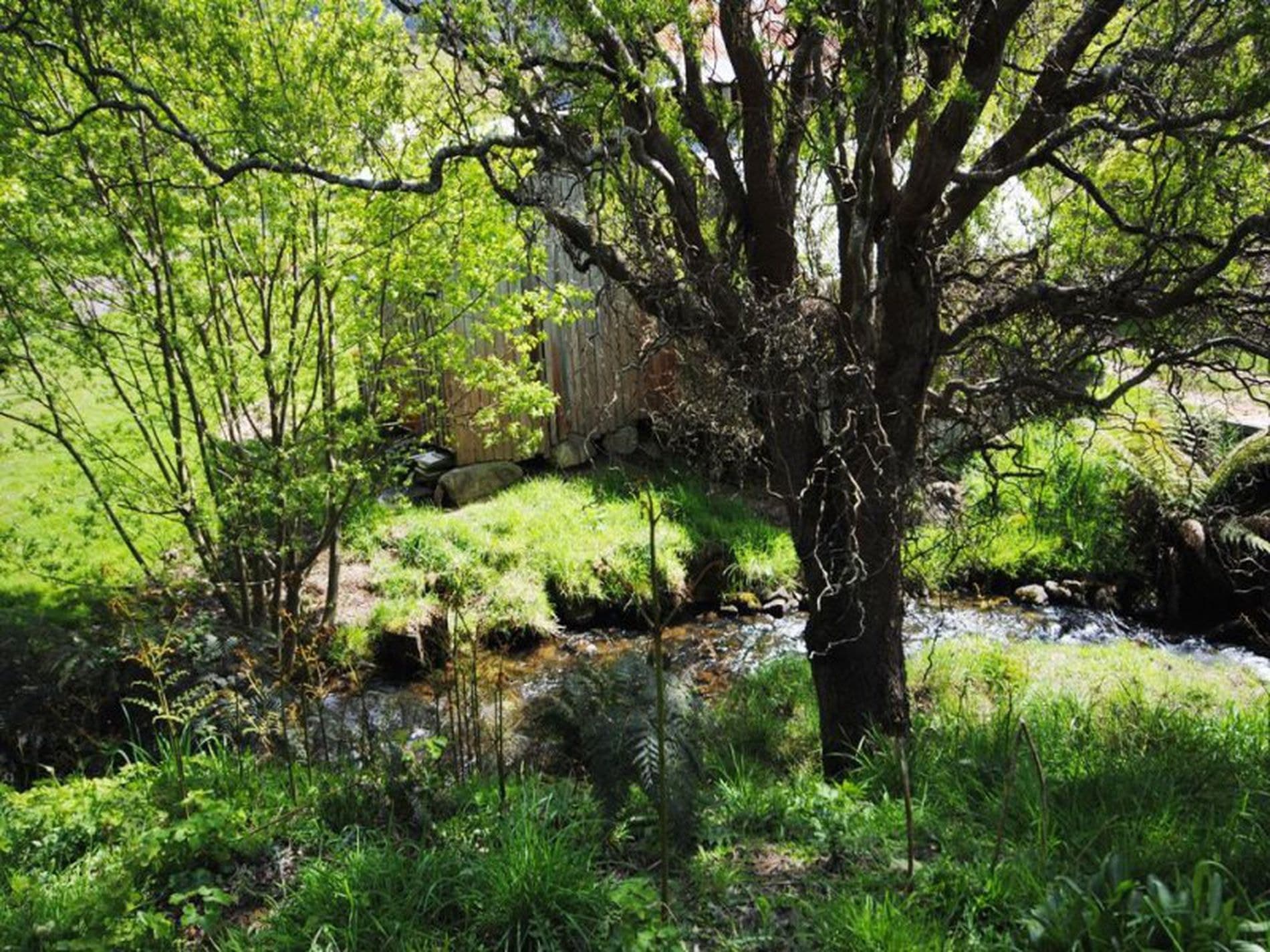 82 Marriotts Road, Ellendale, Ellendale - Thumbnail 3